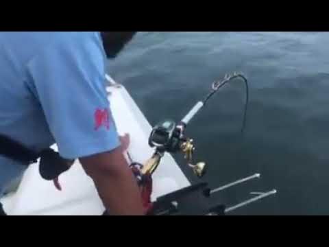 Electric Jigging, Shimano Beastmaster 2000 EJ