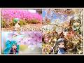 【ねんどり】ねんどろいど と おでかけ写真特集♪【#1】