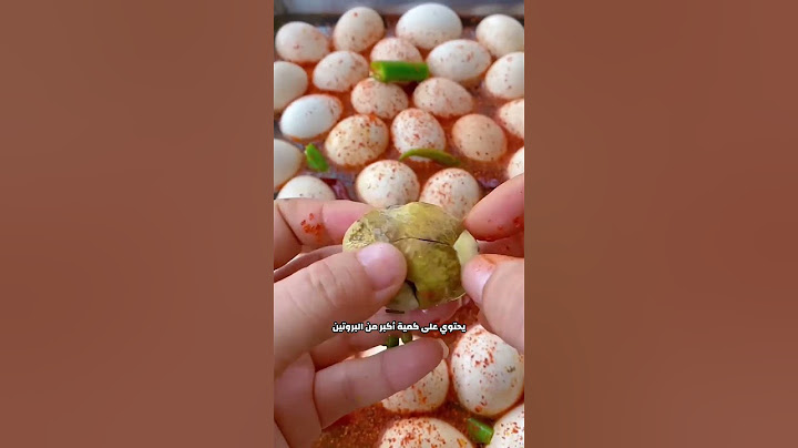 وجبة البيض المخصب الغريبة 🥚😳!