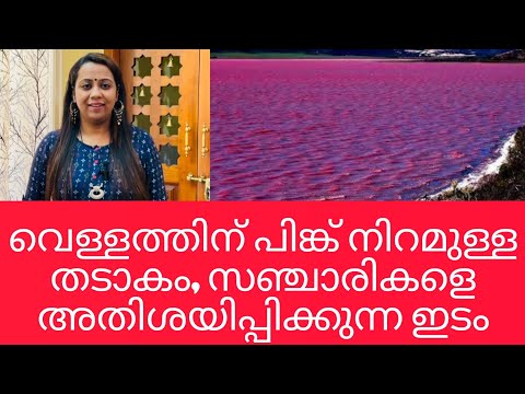 വെള്ളത്തിന് പിങ്ക് നിറമുള്ള തടാകം, സഞ്ചാരികളെ അതിശയിപ്പിക്കുന്ന ഇടം | Pink Lake |