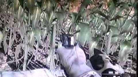 *NEW* Vortex glitch mw3