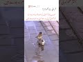 Urdu poetry video🥀❤️🩹#poetry #shorts #quotes #urdupoetry #deeplines