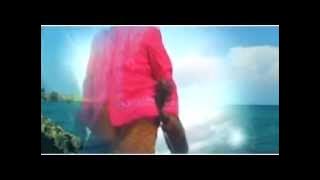 SASAK PENGANTEN BURUNG   Mp3 Download 6 73 MB