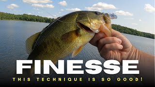 This Is A Must Have Finesse Presentation That Catches Bass Everywhere!