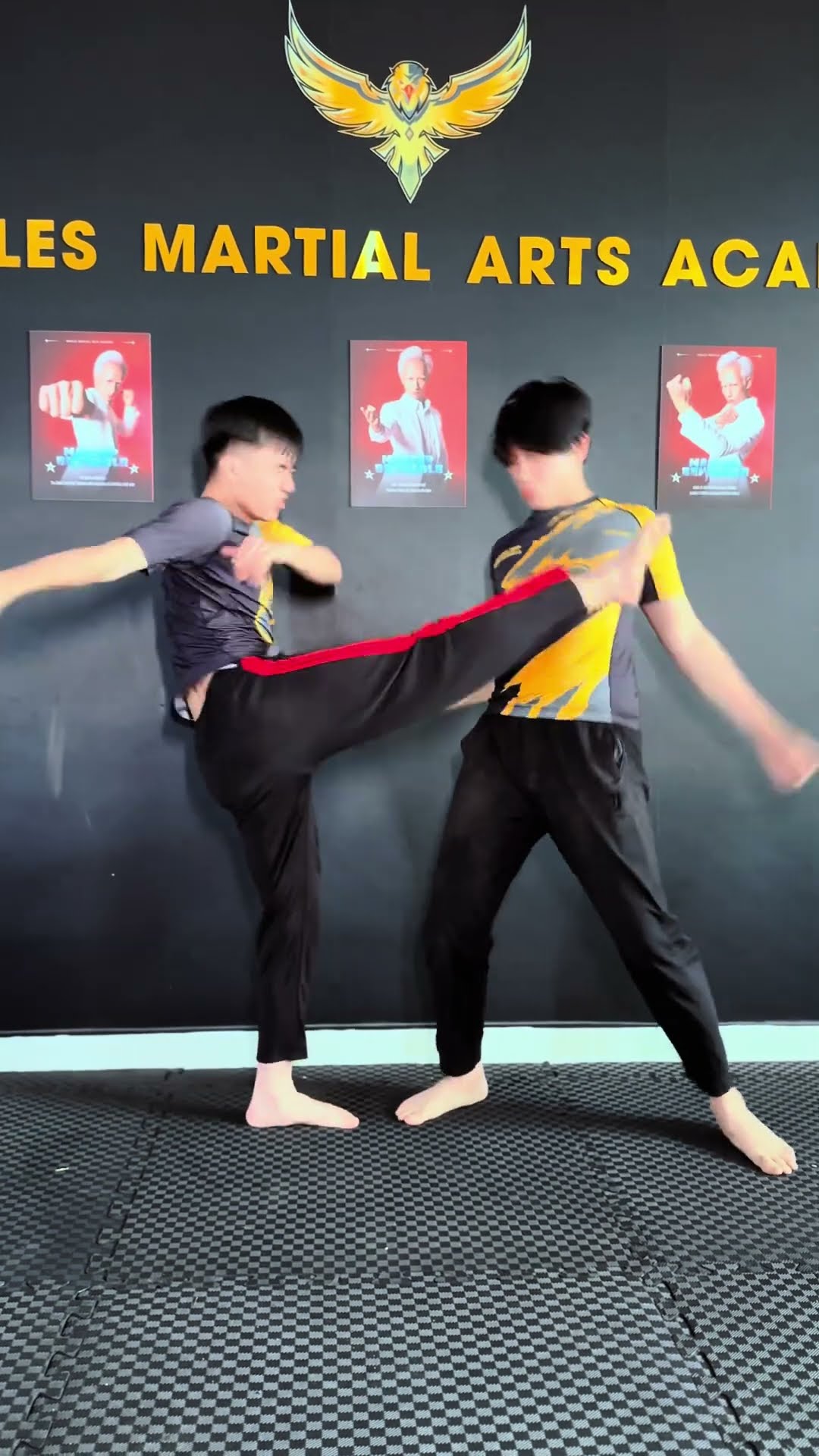Hoà bình [BEN EAGLE] #beneagle #training #kungfu #martialarts #fighting