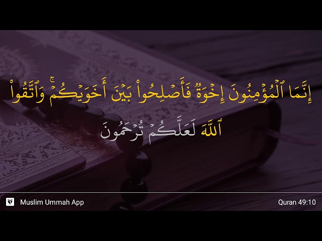 Al-Hujurat ayat 10 class=