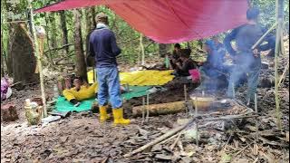 Tanah Geran,Tanah peninggalan Moyang,Di Usahakan Dan Dijadikan Tapak Rumah Panjang Baru,