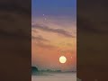 Bonobo - El Toro // Visualizer