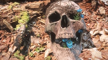 Rotten Wood and Skull - Real-time Showcase - U-RENDER