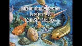 Historical Geology Lecture 20 Paleozoic life