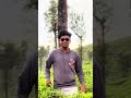 💗🫶👀🍃 #trendingreels #naturelovers #munnar #attitudereels #fypシ #virel