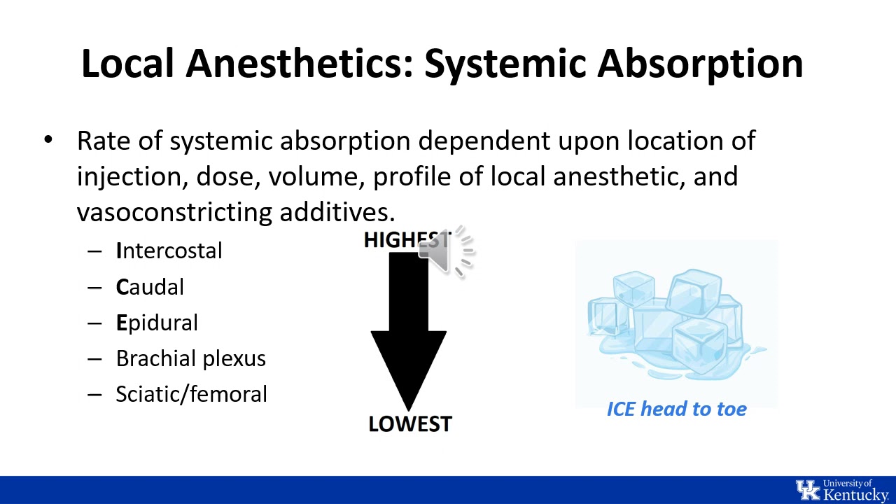 ITE Review | Regional Anesthesia: Physiology and... - youtube