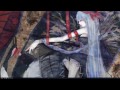[Touhou Vocal] [Swing Of The Dead] an Apple (spanish & english subtitles)