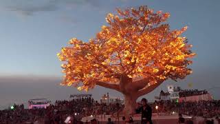 Tree of Ténéré, Colors and the Rite of Spring Burning Man 2017
