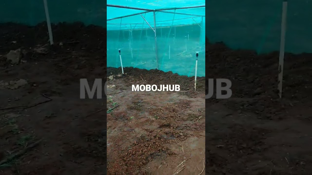 360° Premium Irrigation Sprinkler For Snail's, enables even distribution with uniform droplets.