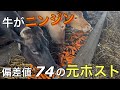 元ホストが和牛農家の道へ進みました