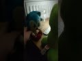 what are sonic doing 🌝🚨🌚⌛🦽🛖🌈🚀 #sonic #scansonic #sonicthehedgehog #sega #fnf #lifeisbutadream #howto