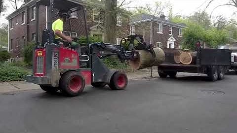 Miniloader in action on tree care jobsites (better than a skidsteer)