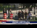 2 men randomly attacked in Central Park by same suspect: police