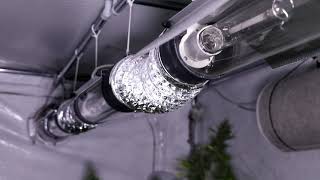 В Красноярске Мужчина Предстанет Перед Судом За Выращивание И Хранение Наркотических Растений