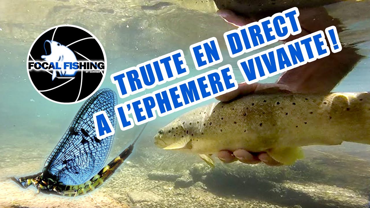 Revue éphémère Vintage – Chasse Et Pêche – Années 70/80/90