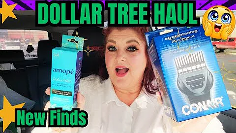 DOLLAR TREE HAUL | Brand New Finds | December 16, 2025