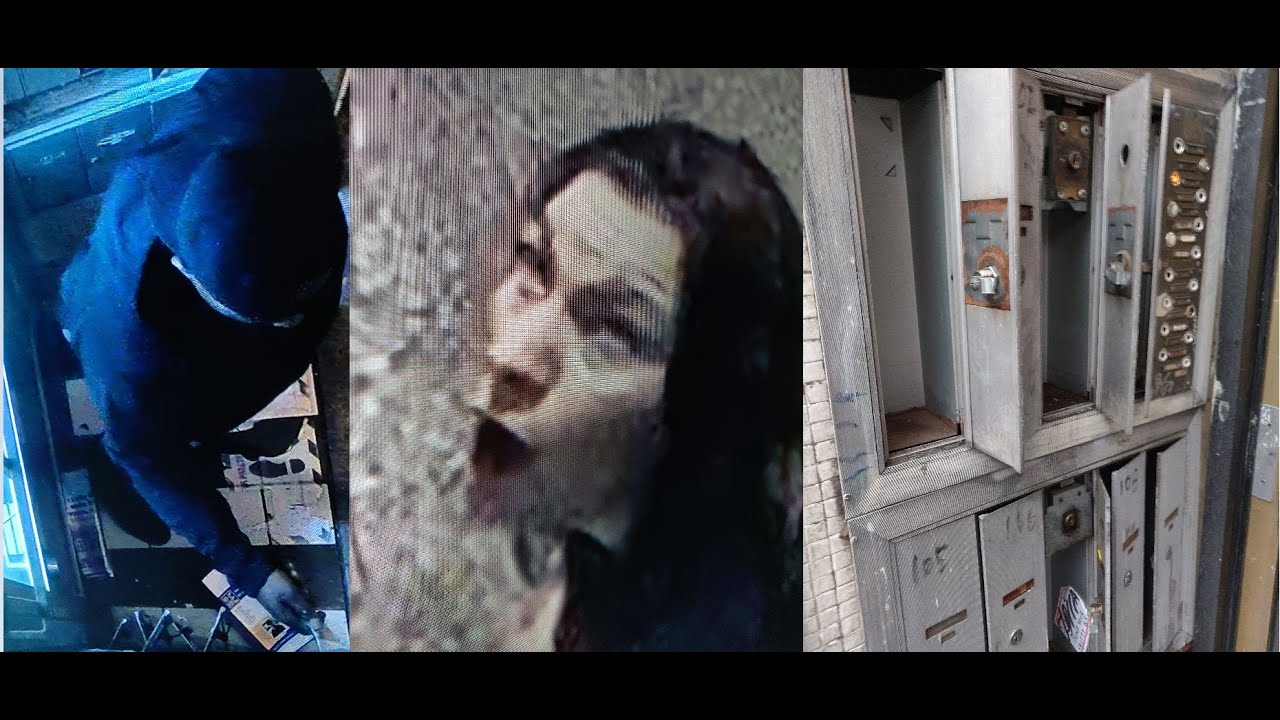 Mail Theft Caught on Camera with Female Lookout Accomplice - YouTube