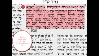 נזיר טו דף יומי מסכת נזיר דף טו Daf yomi Nazir Daf 15 שמואל נבון
