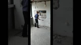 Download Lagu de bovenmuur gaat eruit! Dierenartsen Marloes en Tanya, assistenten Sabine, Robin en Rutger gaan los MP3