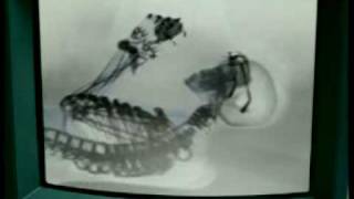 F-Zero: Maximum Velocity