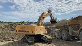 LIEBHERR 934C