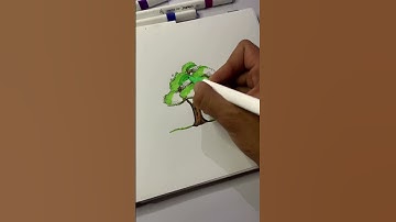 Drawing a Tree with Alcohol Markers!! Drawing Tutorial