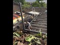 Unser Start auf Teneriffa