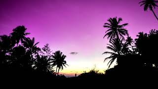 cold glow - palm sway