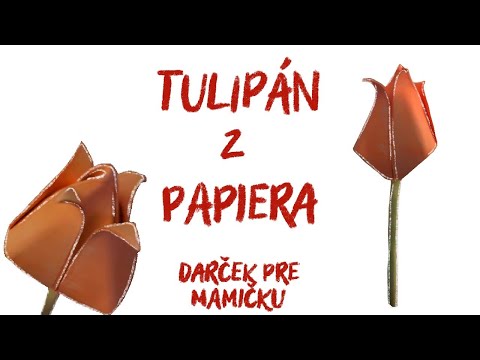 Video: Ako Vyrobiť Tulipán Z Vlnitého Papiera