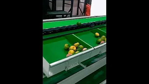 fruit weight grading machine, automatic weight grader sorter