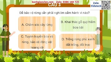 Trò chơi khởi động Công nghệ 7 CD bài 7: Bảo vệ rừng | AI Công nghệ 7 CD