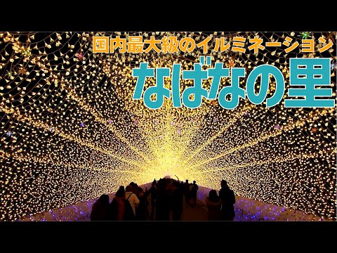 国内最大級のイルミネーション 三重県 なばなの里の魅力をお届け！