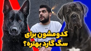 تست گرفتن از توله ها برای سگ گارد شدن