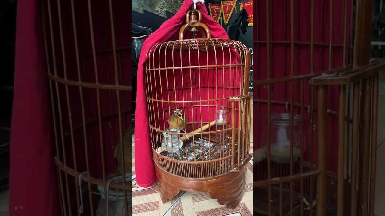 4/3;đẳng cấp khủng long nhiều ⭐️ thành tích kín người phông sâu thăm thẳm ☎️0989/908/405