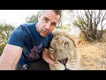 Early Morning Lion Walk with Vayetse, Ginny and Livy | The Lion Whisperer