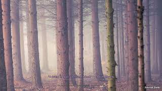 Deep Focus Music for Study and Concentration - Quiet Focus Currents
