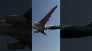 Saudia Airlines A330-300 Saudi National Day Livery