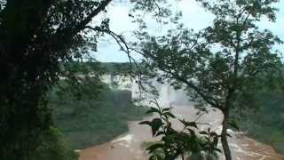 Argentine Iguacu