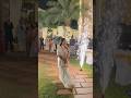 Bride entry with dazzling pyro vibes ✨🔥 #song #music #arrahman