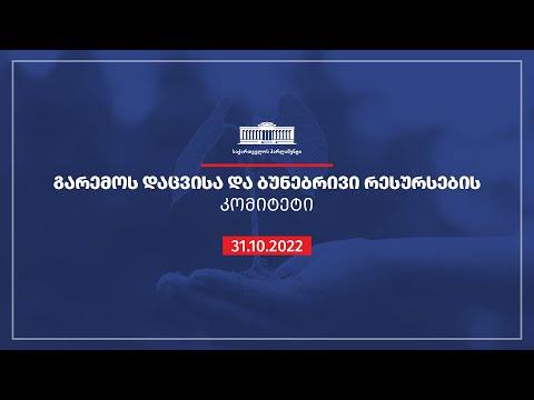 გარემოს დაცვის და ბუნებრივი რესურსების კომიტეტის სხდომა - 31.10.2022