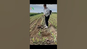 Máy cắt cỏ, máy xạc cỏ, máy xới đất cầm tay MXD #03479440O5 #thapxanh #hieuthapxanh #mayxacco