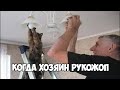 БЕЗ КОТА И ЖИЗНЬ НЕ ТА!😎СМЕШНЫЕ ЖИВОТНЫЕ😂