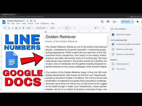 How to Add Line Numbers in Google Docs