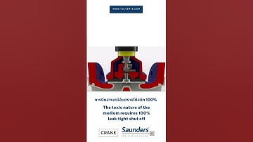 Diaphragm Valve : Saunders